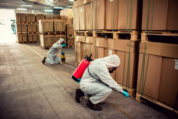 Best Exterminator Services  in Clatskanie, OR