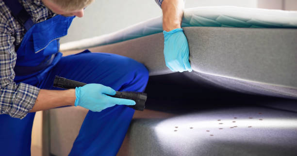 Best Residential Pest Control  in Clatskanie, OR