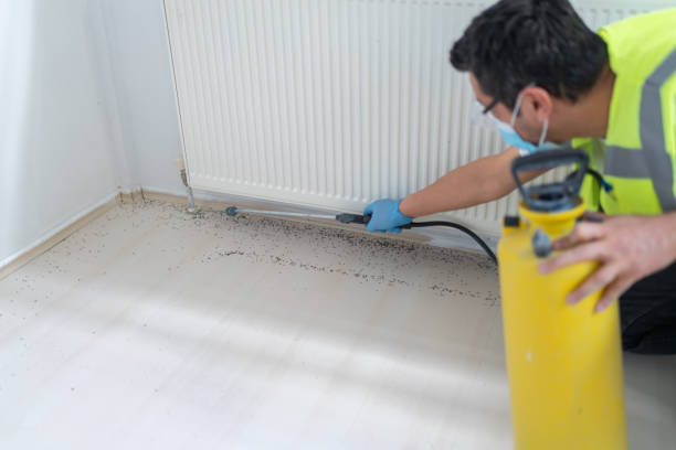 Best Pest Prevention Services  in Clatskanie, OR